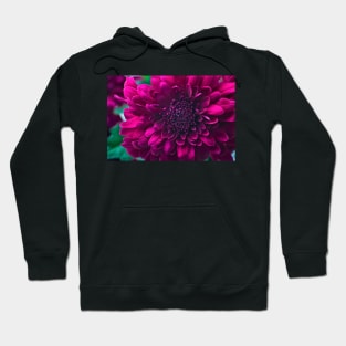 Grand Opening Hoodie